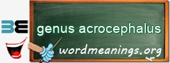 WordMeaning blackboard for genus acrocephalus